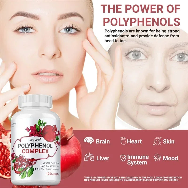 Polyphénols — Antioxydant Puissant, Soutien Digestif et Immunitaire