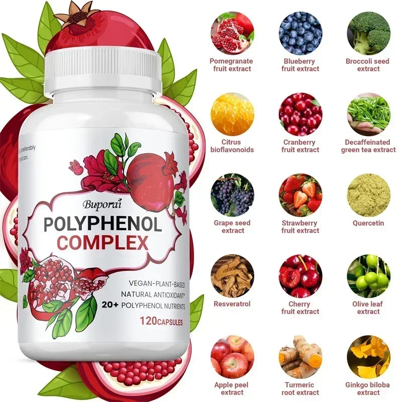 Polyphénols — Antioxydant Puissant, Soutien Digestif et Immunitaire